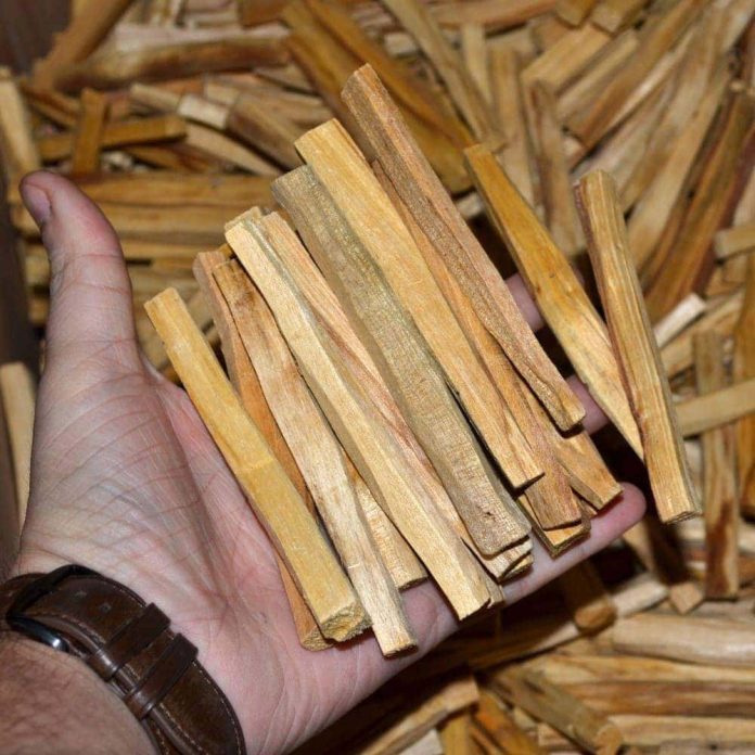 Legende despre lemnul de palosanto